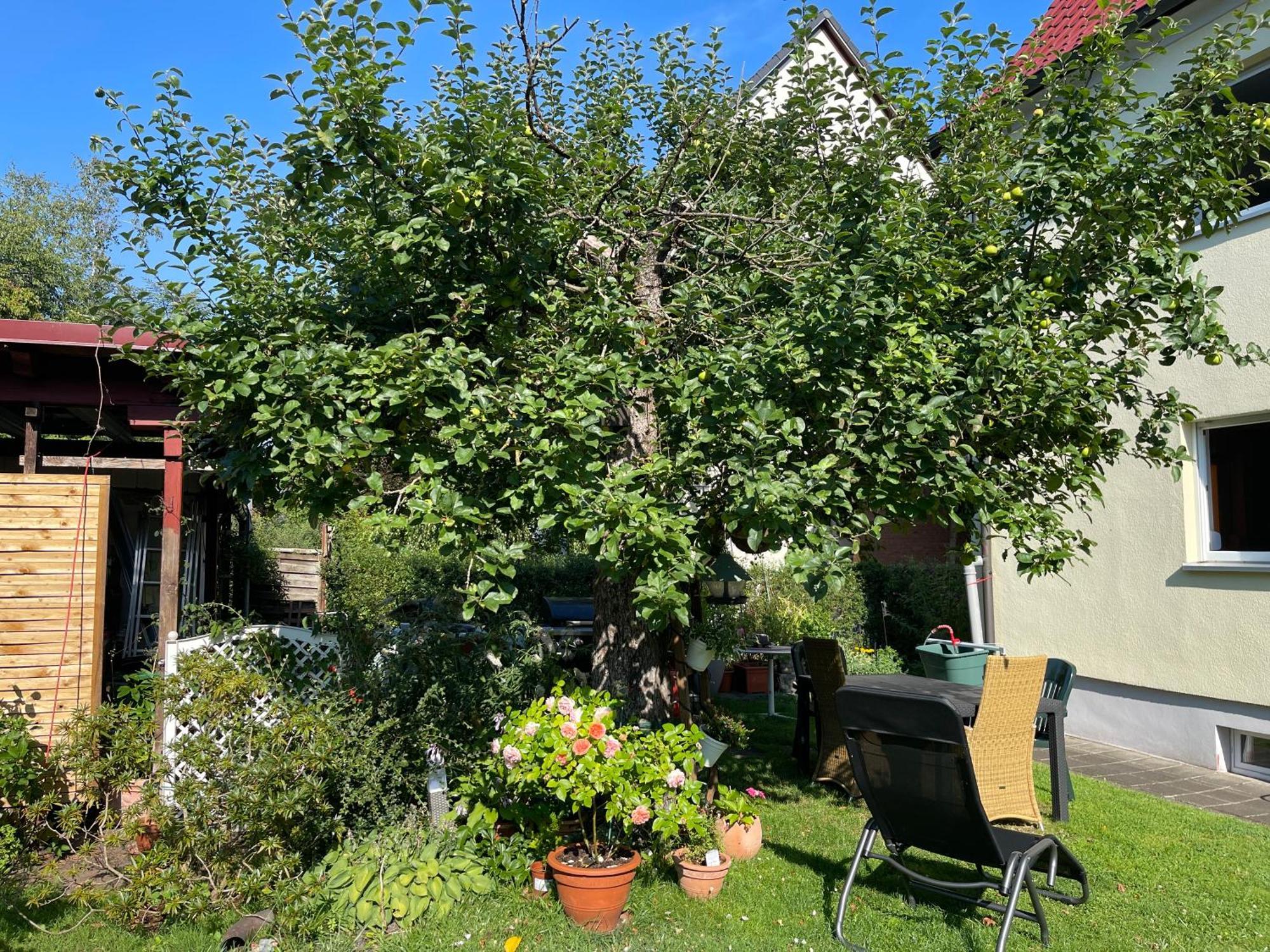 Gästezimmer mit Garten / 20 Minuten bis Messe Nürnberg Exterior foto